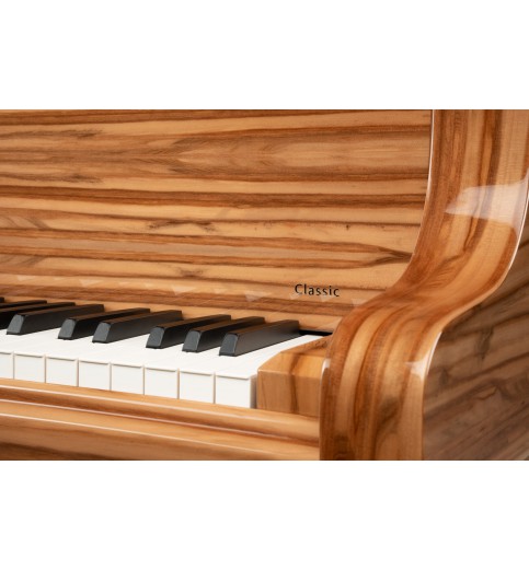 Schimmel Classic C169T Noyer